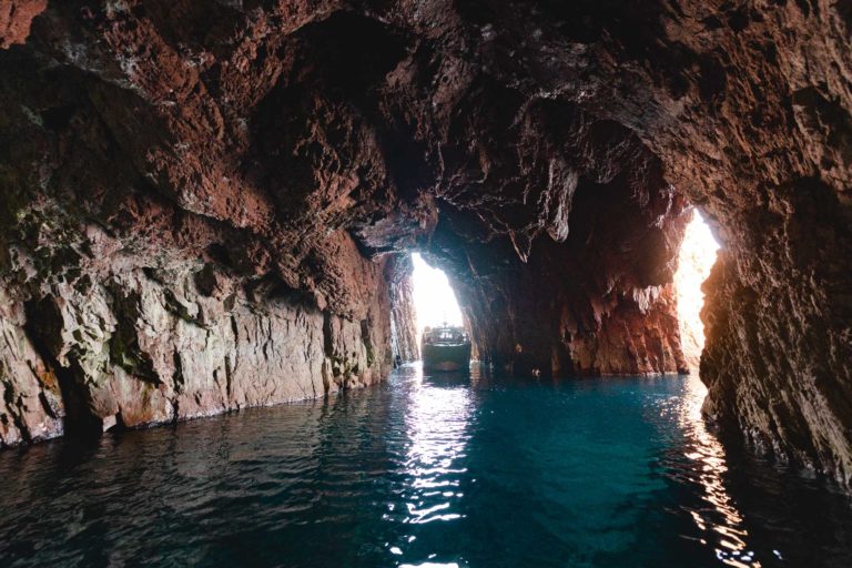 Promenade en bateau : Tour complet du Golfe de Porto, réserve de Scandola, Calanches de Piana et Capo Rosso.
