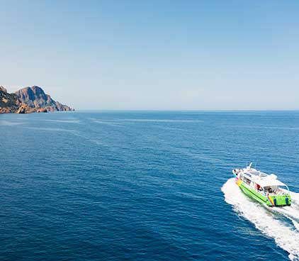 Promenade en bateau : Tour complet du Golfe de Porto, réserve de Scandola, Calanches de Piana et Capo Rosso.