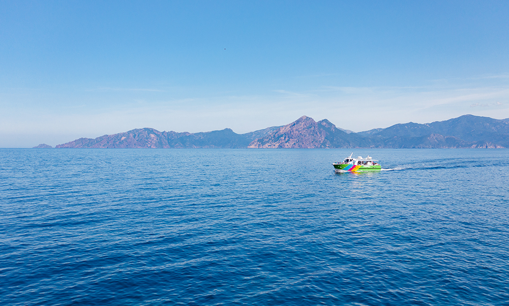 Promenade en bateau : Tour complet du Golfe de Porto, réserve de Scandola, Calanches de Piana et Capo Rosso.