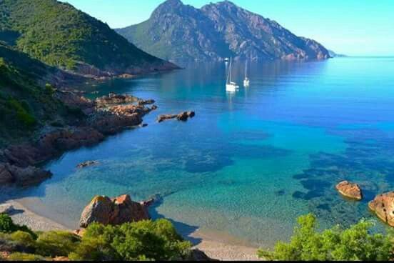 Promenade en bateau : Tour complet du Golfe de Porto, réserve de Scandola, Calanches de Piana et Capo Rosso.