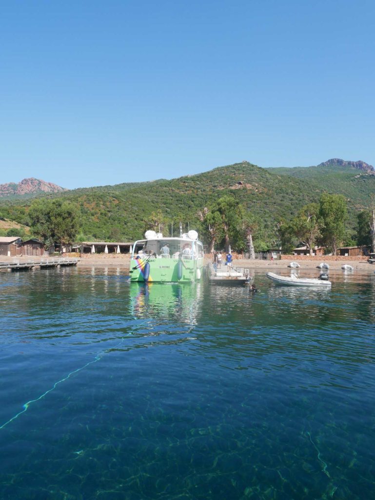 Promenade en bateau : Tour complet du Golfe de Porto, réserve de Scandola, Calanches de Piana et Capo Rosso.