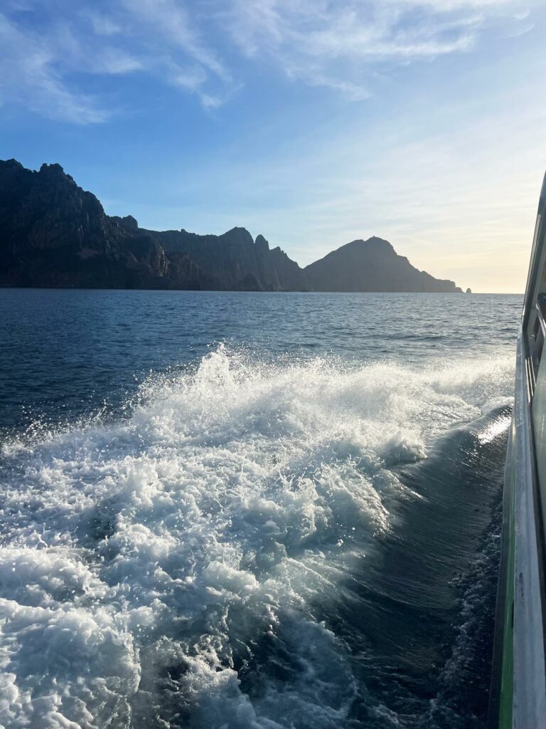Promenade en bateau : Tour complet du Golfe de Porto, réserve de Scandola, Calanches de Piana et Capo Rosso.