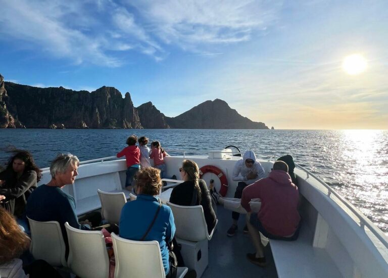 Promenade en bateau : Tour complet du Golfe de Porto, réserve de Scandola, Calanches de Piana et Capo Rosso.