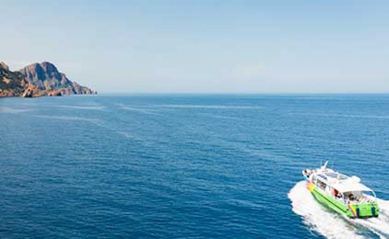 Promenade en bateau : Tour complet du Golfe de Porto, réserve de Scandola, Calanches de Piana et Capo Rosso.