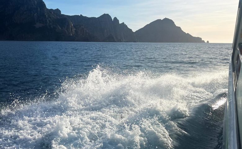 Promenade en bateau : Tour complet du Golfe de Porto, réserve de Scandola, Calanches de Piana et Capo Rosso.