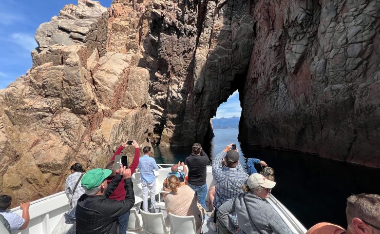 Promenade en bateau : Tour complet du Golfe de Porto, réserve de Scandola, Calanches de Piana et Capo Rosso.